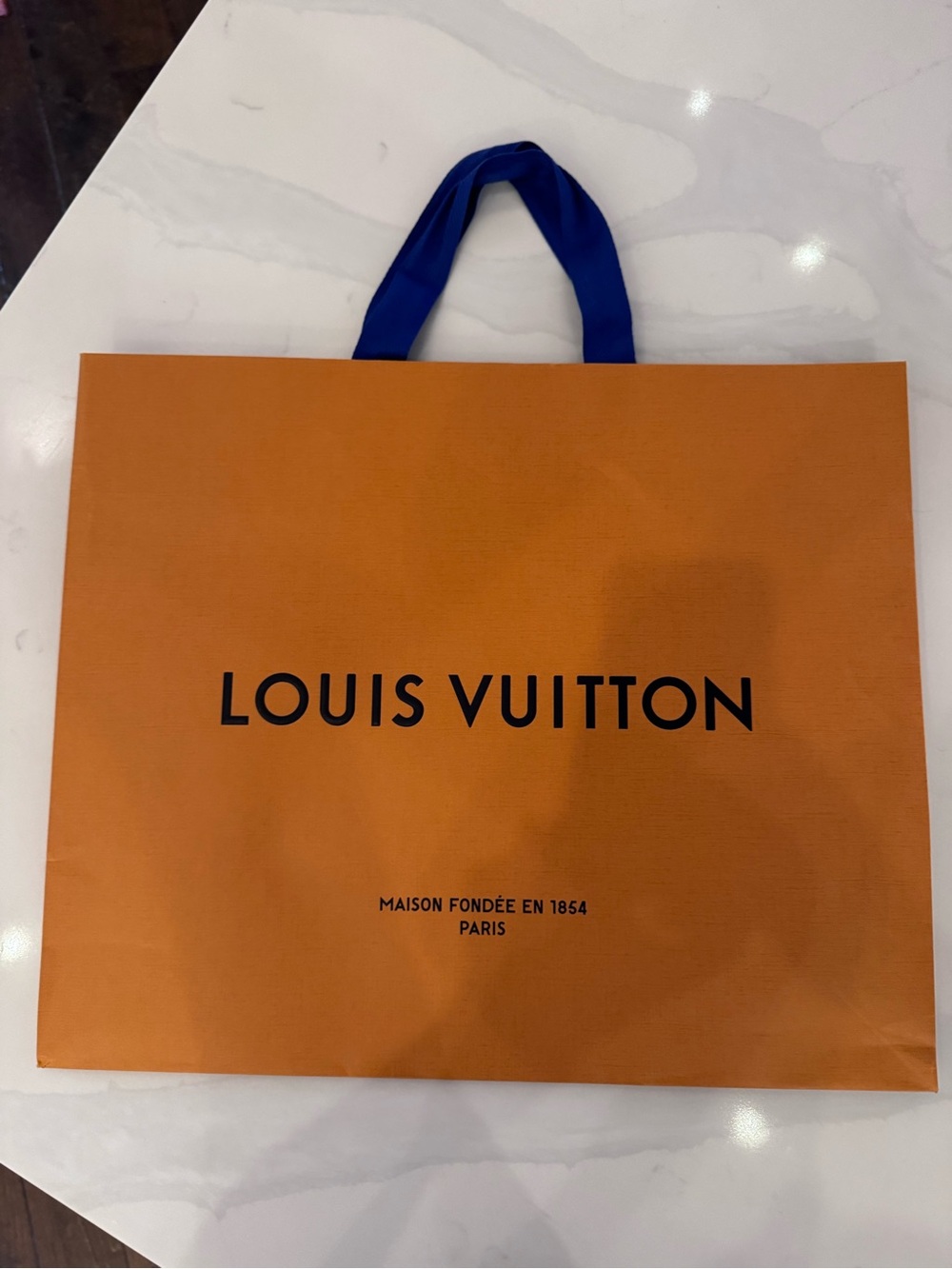 Louis Vuitton shopping bag